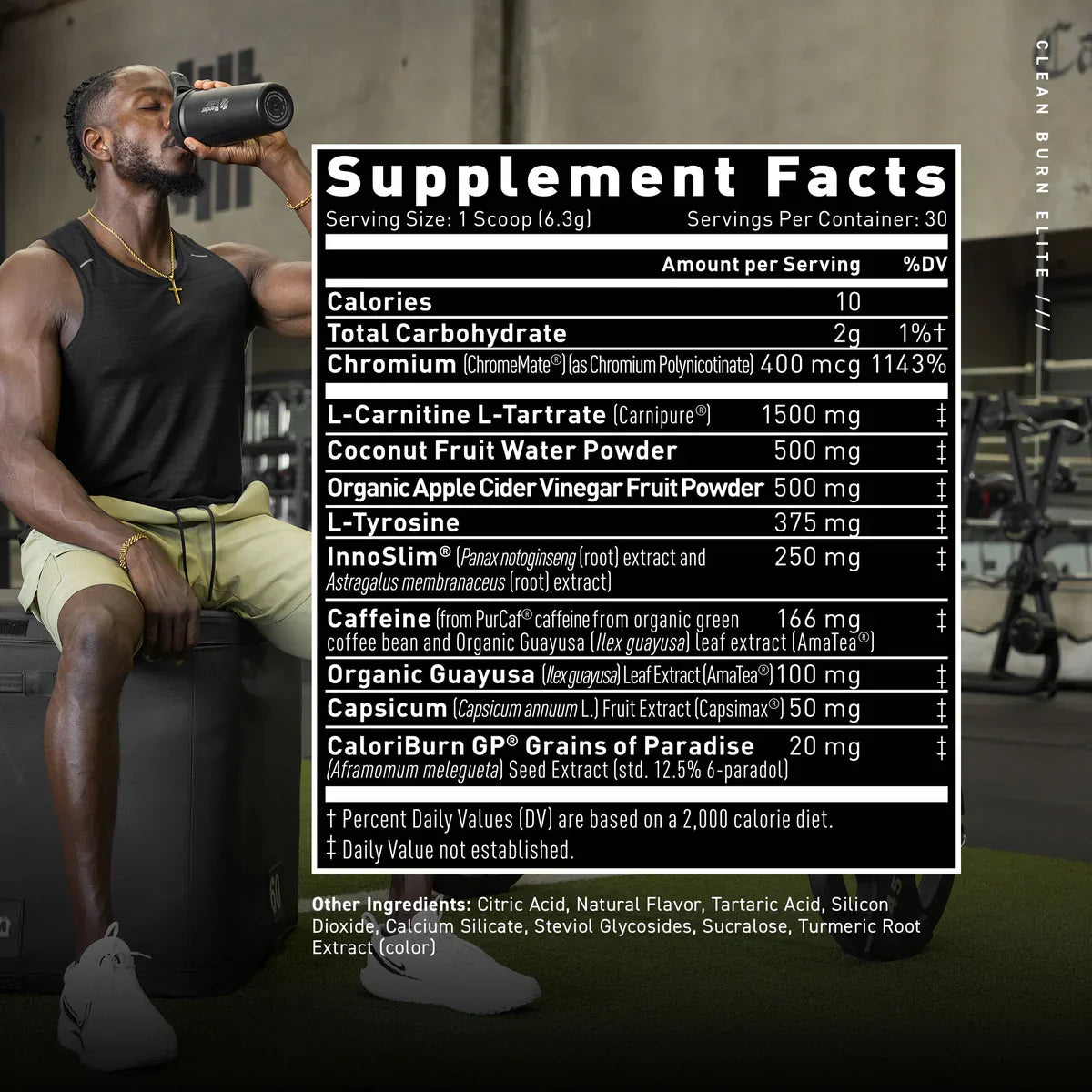 Never Stop Evolving Bundle